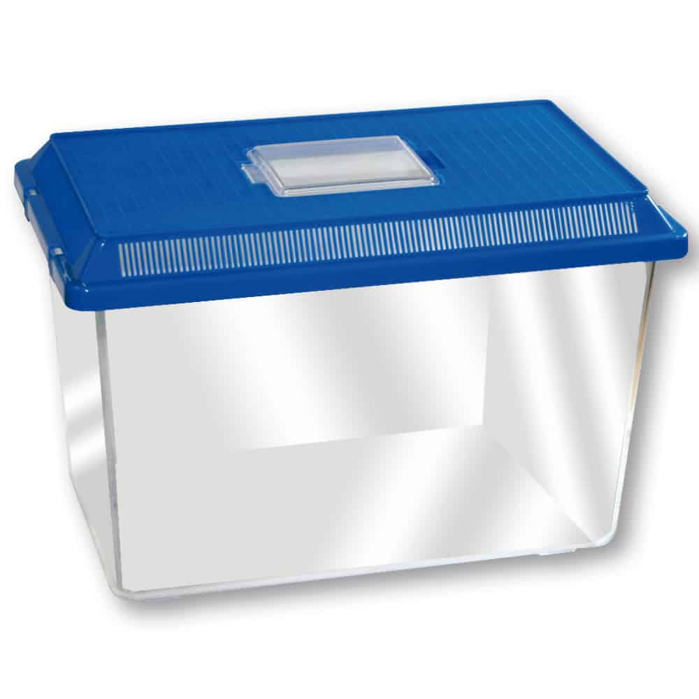 BOXLIFE LARGE 36,5x21,5x24 18,83l